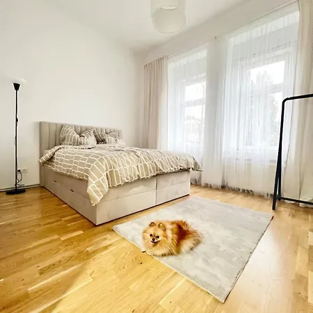 Modern New Eggenberg 1b Apartment *