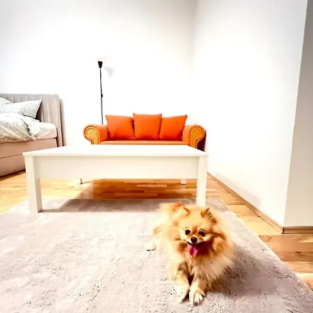 شقة Modern New Eggenberg 1b غراتس