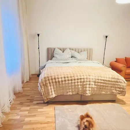 Appartement Modern New Eggenberg 1b *