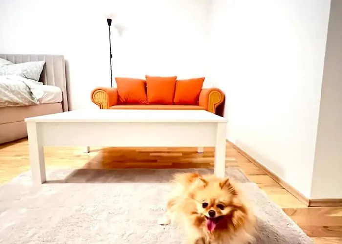 公寓 Modern New Eggenberg 1b 格拉茨